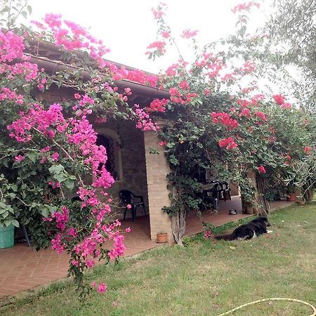 Casa Santina Villa Girasole Phòng bức ảnh